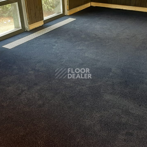 Innova Фризе 7079 фото 6 | FLOORDEALER